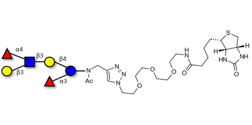 Lewis a (Lea) hexaose / Lacto-N-difucohexaose II (LNDFH II) linked to biotin (Linker-BT A)