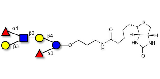Lewis a (Lea) hexaose / Lacto-N-difucohexaose II (LNDFH II) linked to biotin (Linker-BT B)