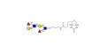 Lewis a (Lea) hexaose / Lacto-N-difucohexaose II (LNDFH II) linked to biotin (Linker-BT B)