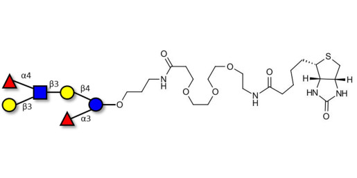 Lewis a (Lea) hexaose / Lacto-N-difucohexaose II (LNDFH II) linked to biotin (Linker-BT C)