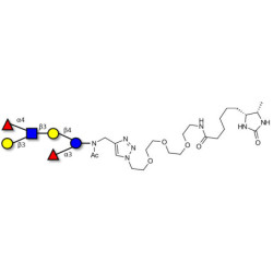Lewis a (Lea) hexaose / Lacto-N-difucohexaose II (LNDFH II) linked to desthiobiotin (Linker-DBT-A)