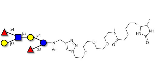 Lewis a (Lea) hexaose / Lacto-N-difucohexaose II (LNDFH II) linked to desthiobiotin (Linker-DBT-A)