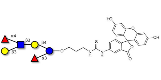 Lewis a (Lea) hexaose / Lacto-N-difucohexaose II (LNDFH II) linked to fluorescein (Linker-FLUO A)