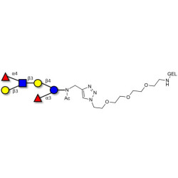 Lewis a (Lea) hexaose / Lacto-N-difucohexaose II (LNDFH II) grafted on gel for affinity chromatography (Linker-GEL A)