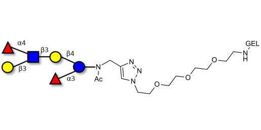 Lewis a (Lea) hexaose / Lacto-N-difucohexaose II (LNDFH II) grafted on gel for affinity chromatography (Linker-GEL A)