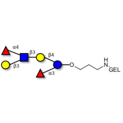 Lewis a (Lea) hexaose / Lacto-N-difucohexaose II (LNDFH II) grafted on gel for affinity chromatography (Linker-GEL B)