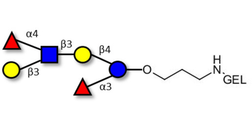Lewis a (Lea) hexaose / Lacto-N-difucohexaose II (LNDFH II) grafted on gel for affinity chromatography (Linker-GEL B)