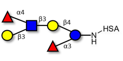 Lewis a (Lea) hexaose / Lacto-N-difucohexaose II (LNDFH II) grafted on HSA