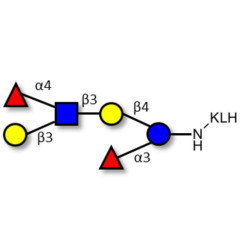 Lewis a (Lea) hexaose / Lacto-N-difucohexaose II (LNDFH II) grafted on KLH