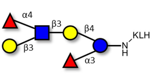 Lewis a (Lea) hexaose / Lacto-N-difucohexaose II (LNDFH II) grafted on KLH