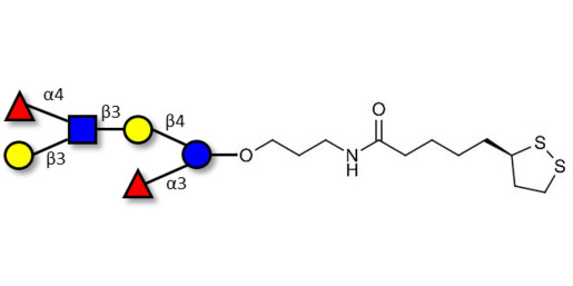 Lewis a (Lea) hexaose / Lacto-N-difucohexaose II (LNDFH II) with cyclic di-thiol (Linker-LIPO A)
