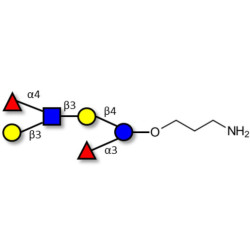 Lewis a (Lea) hexaose / Lacto-N-difucohexaose II (LNDFH II) with free terminal amine (Linker-NH2 A)