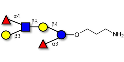 Lewis a (Lea) hexaose / Lacto-N-difucohexaose II (LNDFH II) with free terminal amine (Linker-NH2 A)