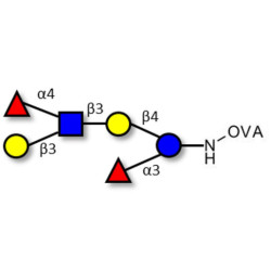 Lewis a (Lea) hexaose / Lacto-N-difucohexaose II (LNDFH II) grafted on OVA