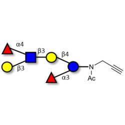 Lewis a (Lea) hexaose / Lacto-N-difucohexaose II (LNDFH II) with terminal alkyne (Linker-CΞCH A)