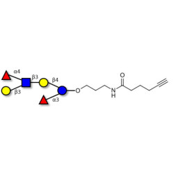 Lewis a (Lea) hexaose / Lacto-N-difucohexaose II (LNDFH II) with terminal alkyne (Linker-CΞCH C)