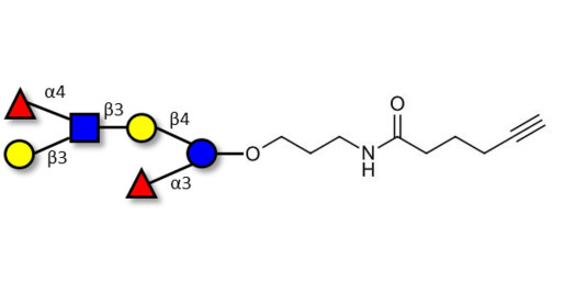 Lewis a (Lea) hexaose / Lacto-N-difucohexaose II (LNDFH II) with terminal alkyne (Linker-CΞCH C)