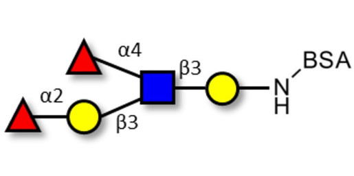 Lewis b (Leb) pentaose grafted on BSA
