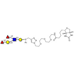 Lewis b (Leb) pentaose linked to biotin (Linker-BT A)