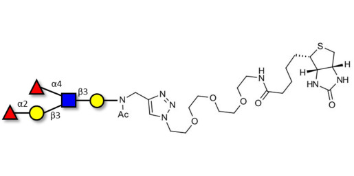 Lewis b (Leb) pentaose linked to biotin (Linker-BT A) - GLY056-NAc-sp3-Bt