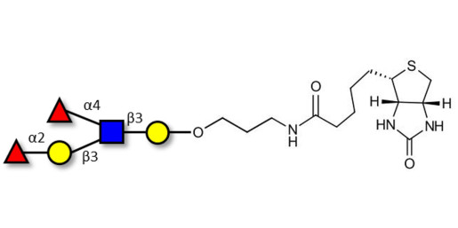 Lewis b (Leb) pentaose linked to biotin (Linker-BT B)