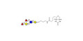 Lewis b (Leb) pentaose linked to biotin (Linker-BT B)