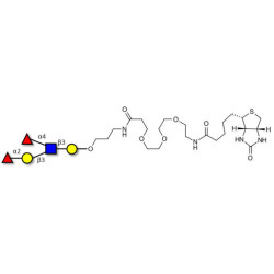 Lewis b (Leb) pentaose linked to biotin (Linker-BT C)
