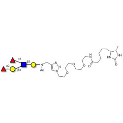 Lewis b (Leb) pentaose linked to desthiobiotin (Linker-DBT-A)