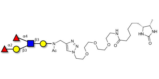 Lewis b (Leb) pentaose linked to desthiobiotin (Linker-DBT-A)