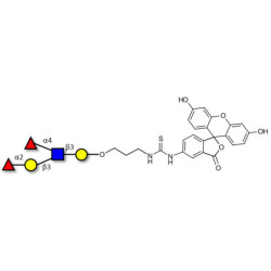 Lewis b (Leb) pentaose linked to fluorescein (Linker-FLUO A)