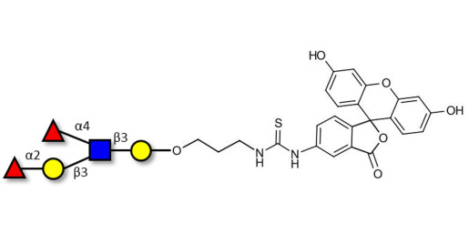 Lewis b (Leb) pentaose linked to fluorescein (Linker-FLUO A)