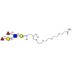 Lewis b (Leb) pentaose grafted on gel for affinity chromatography (Linker-GEL A)