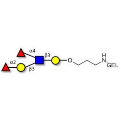 Lewis b (Leb) pentaose grafted on gel for affinity chromatography (Linker-GEL B)