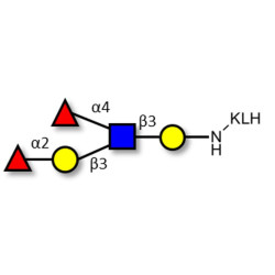 Lewis b (Leb) pentaose grafted on KLH
