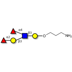 Lewis b (Leb) pentaose with free terminal amine (Linker-NH2 A)