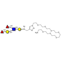 Lewis b (Leb) pentaose with free terminal amine (Linker-NH2 C)