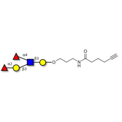 Lewis b (Leb) pentaose with terminal alkyne (Linker-CΞCH C)