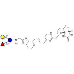 3-Fucosyllactose (3-FL) linked to biotin (Linker-BT A)
