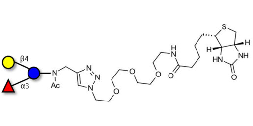 3-Fucosyllactose (3-FL) linked to biotin (Linker-BT A)