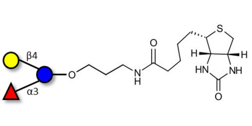 3-Fucosyllactose (3-FL) linked to biotin (Linker-BT B)
