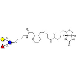 3-Fucosyllactose (3-FL) linked to biotin (Linker-BT C)