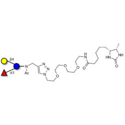 3-Fucosyllactose (3-FL) linked to desthiobiotin (Linker-DBT-A)