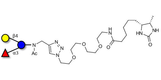 3-Fucosyllactose (3-FL) linked to desthiobiotin (Linker-DBT-A)