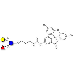 3-Fucosyllactose (3-FL) linked to fluorescein (Linker-FLUO A)