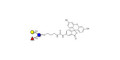 3-Fucosyllactose (3-FL) linked to fluorescein (Linker-FLUO A)