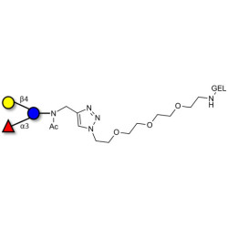 3-Fucosyllactose (3-FL) grafted on gel for affinity chromatography (Linker-GEL A)