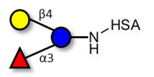 3-Fucosyllactose (3-FL) grafted on HSA