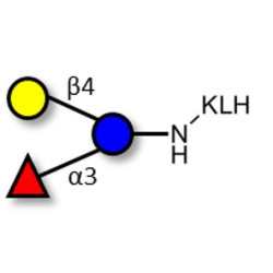 3-Fucosyllactose (3-FL) grafted on KLH