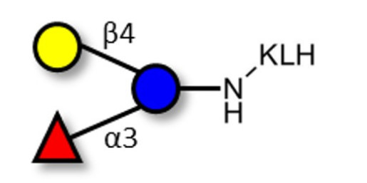 3-Fucosyllactose (3-FL) grafted on KLH