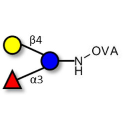 3-Fucosyllactose (3-FL) grafted on OVA
